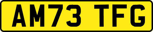 AM73TFG