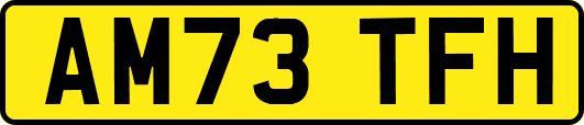 AM73TFH