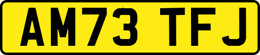 AM73TFJ