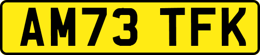 AM73TFK