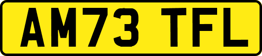 AM73TFL