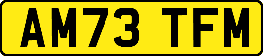 AM73TFM