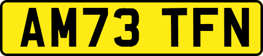 AM73TFN