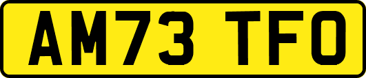 AM73TFO