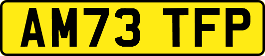 AM73TFP