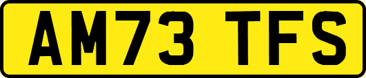 AM73TFS