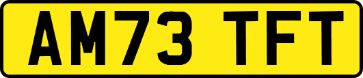 AM73TFT