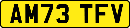 AM73TFV