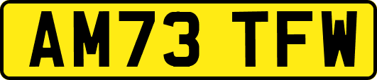 AM73TFW