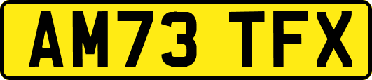 AM73TFX