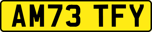 AM73TFY