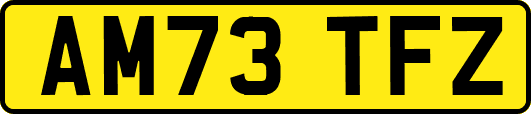AM73TFZ