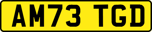 AM73TGD
