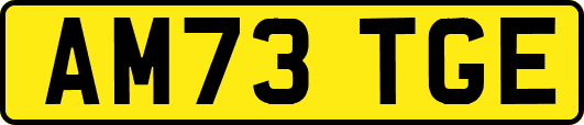 AM73TGE