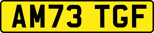 AM73TGF