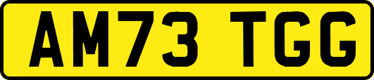 AM73TGG