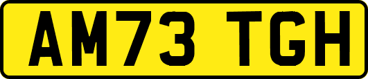 AM73TGH