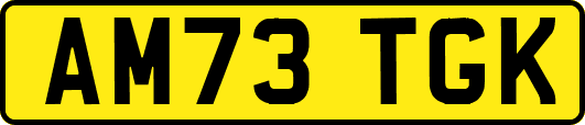 AM73TGK