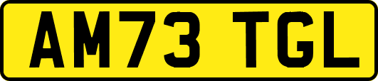 AM73TGL