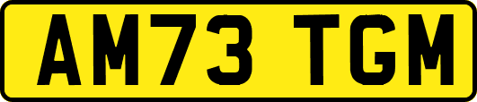 AM73TGM