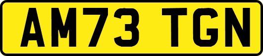 AM73TGN