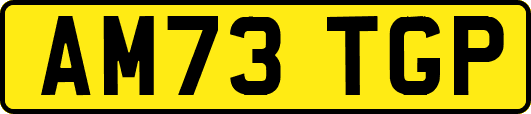 AM73TGP