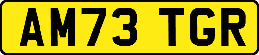 AM73TGR