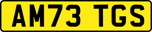 AM73TGS