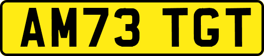AM73TGT
