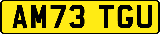 AM73TGU