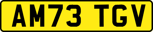 AM73TGV