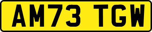 AM73TGW