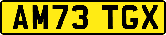 AM73TGX