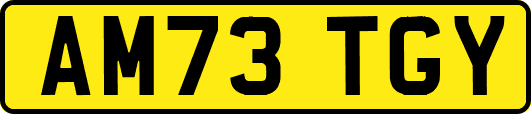 AM73TGY