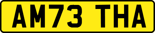 AM73THA