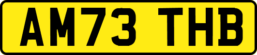 AM73THB