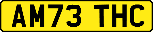 AM73THC