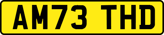 AM73THD