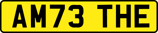 AM73THE