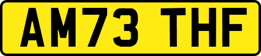 AM73THF