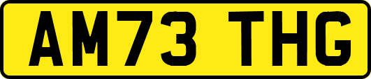 AM73THG