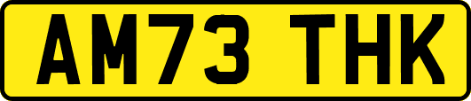 AM73THK