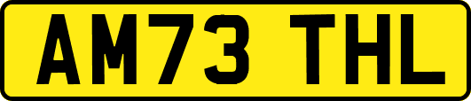AM73THL