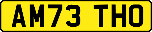 AM73THO