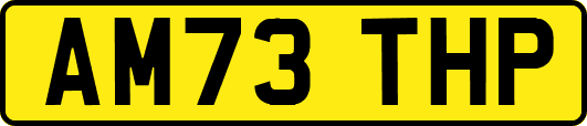 AM73THP