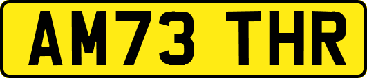 AM73THR