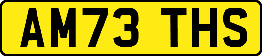 AM73THS