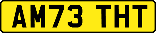 AM73THT