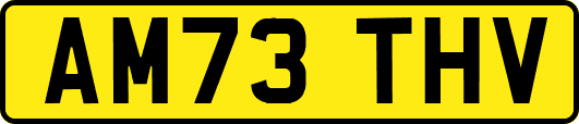 AM73THV