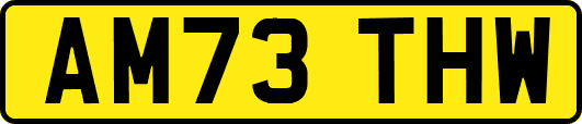 AM73THW